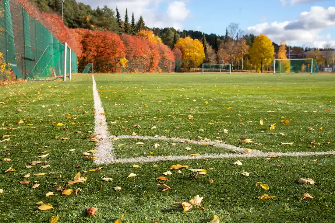 Sughero per intaso - campo da calcio
